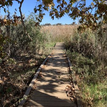 Buena Vista Audubon - Community Service/Non-Profit Near Me - Oceanside, California Buena Vista Audubon - Community Service/Non-Profit Near Me - Oceanside, California