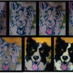 Screamin' Screen Print - Progression of 7 color print