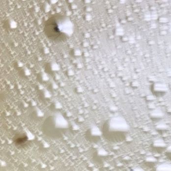 Wonderful Chinese Restaurant - Zoomed in bug in soup - Chinese Near Me - Citrus Heights, California Wonderful Chinese Restaurant - Zoomed in bug in soup - Chinese Near Me - Citrus Heights, California