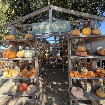 Cipponeri Family Farms - Farmers Market Near Me - Turlock, California Cipponeri Family Farms - Farmers Market Near Me - Turlock, California