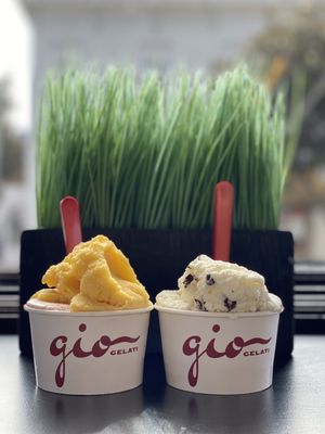 GIO Gelati San Francisco by null