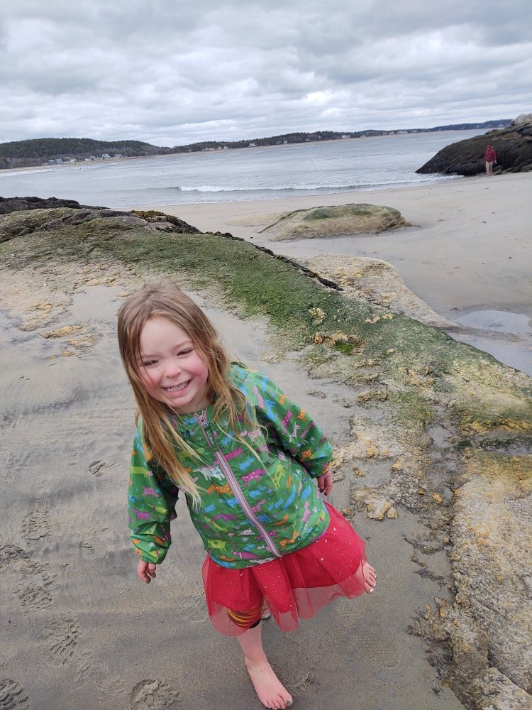 MidCoast Munchkins - childcare center in Woolwich, ME