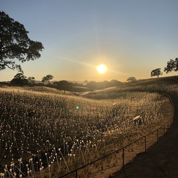 Sensorio - Before sunset - Art Galleries Near Me - Paso Robles, California