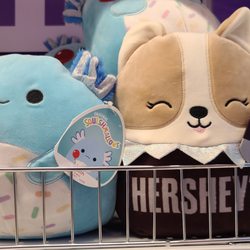 Party City - Hershey's Doggie Squishmallow 07-10-2022