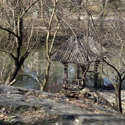 Central Park West