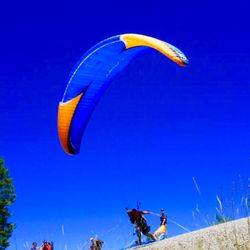 Flying Lizard Paragliding - Let the race begin...