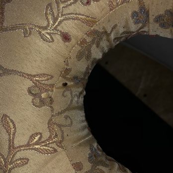 Elemental Wellness - Bed bugs - Massage Therapy Near Me - Houston, Texas