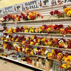 Dollar Tree