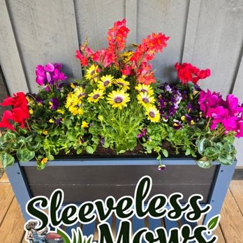 Sleeveless Mows - Flower boxes for sale. Custom floral arrangements. - Lawn Services Near Me Sleeveless Mows - Flower boxes for sale. Custom floral arrangements. - Lawn Services Near Me