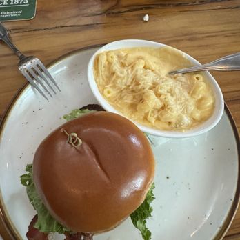 Clear Sky Draught Haus - Gastropubs Near Me - Dunedin, Florida