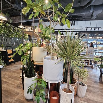 Clover&Booch - Nurseries & Gardening Near Me - Beaverton, Oregon
