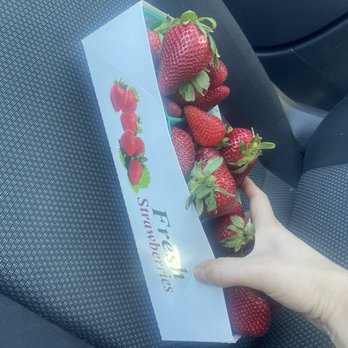 Forneris Farms - Strawberries - Farmers Market Near Me - Mission Hills, California Forneris Farms - Strawberries - Farmers Market Near Me - Mission Hills, California