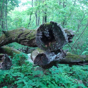 Mount Magazine State Park - Hiking Near Me - Paris, Arkansas