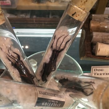 The Evolution Store - Grasshoppers - Home Decor Near Me - New York, New York
