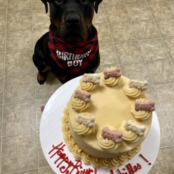 Batter ‘N Icing - Pupcake! They also have smaller cupcake sizes. - Cupcakes Near Me - Danville, California Batter ‘N Icing - Pupcake! They also have smaller cupcake sizes. - Cupcakes Near Me - Danville, California
