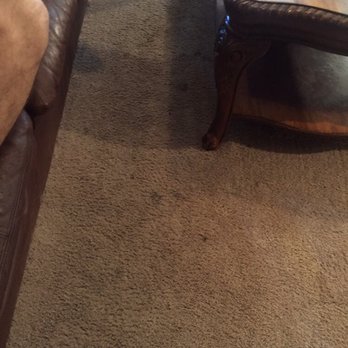 Peace Frog Specialty Cleaning - Carpet Cleaning Near Me - Austin, Texas Peace Frog Specialty Cleaning - Carpet Cleaning Near Me - Austin, Texas