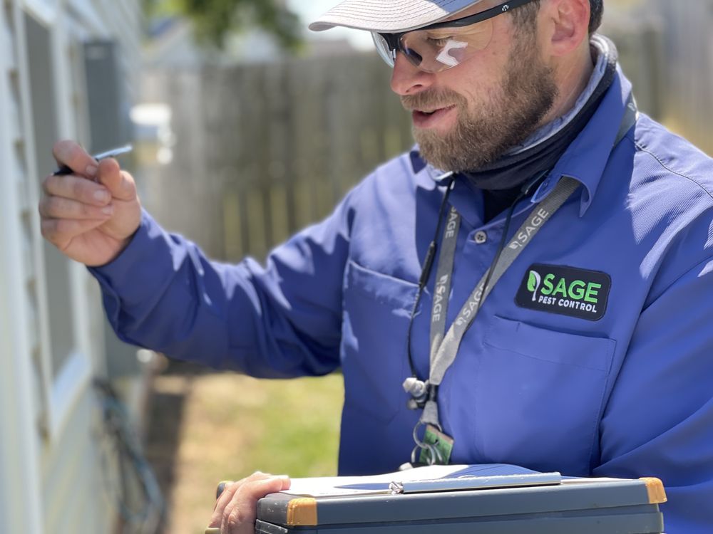 SAGE PEST CONTROL Updated September 2024 53 Photos & 50 Reviews