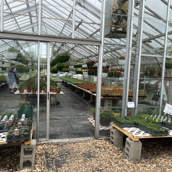 Two Seasons Greenhouse - Greenhouse #6 - Nurseries & Gardening Near Me - Belding, Michigan