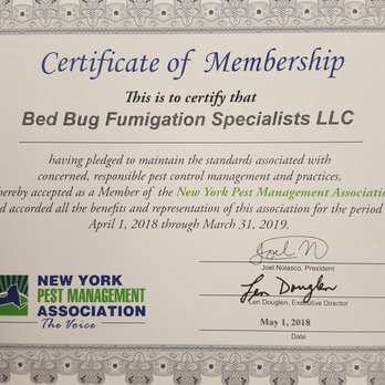Bed Bug Fumigation Specialists - Pest Control Near Me - New York, New York Bed Bug Fumigation Specialists - Pest Control Near Me - New York, New York