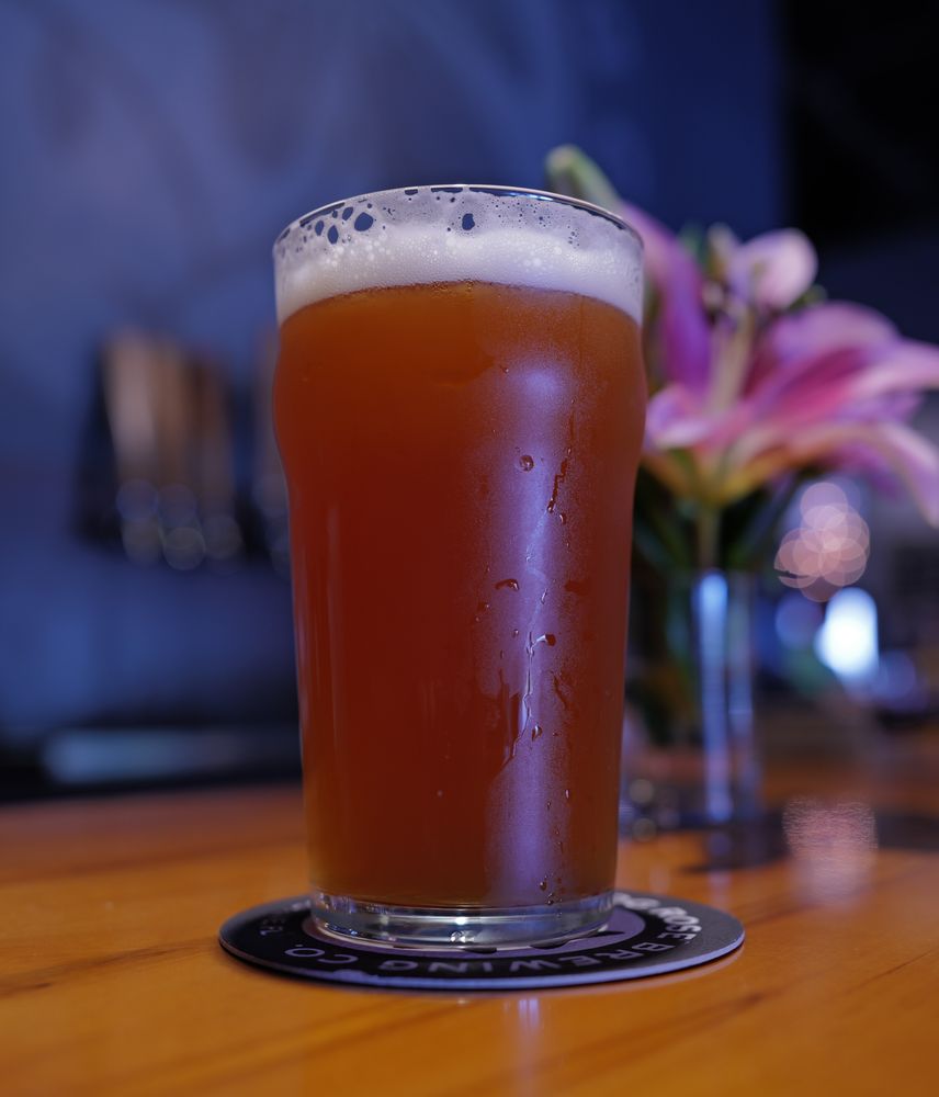 Dog Rose Brewing Image