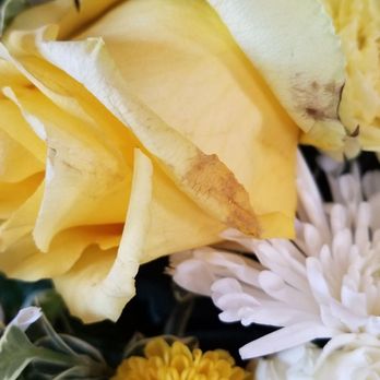 Shamrock Flowers - Florists Near Me - Apple Valley, California