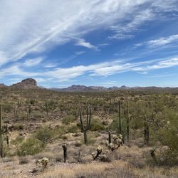 Gold Canyon Mountain Bike Trails