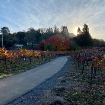 Finale Wines - the sun setting over a vineyard - Wine Tasting Room Near Me - Healdsburg, California Finale Wines - the sun setting over a vineyard - Wine Tasting Room Near Me - Healdsburg, California