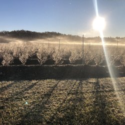 Lithia Berry Farms