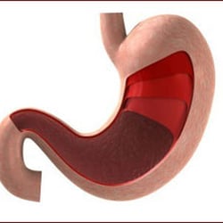 Hudson River Gastroenterology