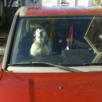 Happy Tails Pet Care - Dog Walkers Near Me