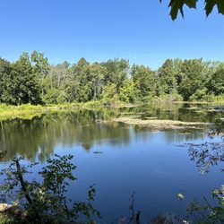 Red Rock Ponds RV