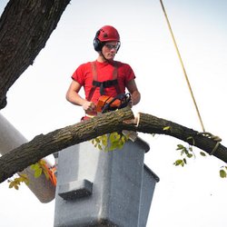 Tarheel Residential Roofing and Tree Service