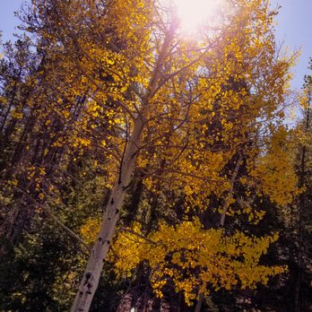 Guanella Pass Scenic Byway - Hiking Near Me Guanella Pass Scenic Byway - Hiking Near Me