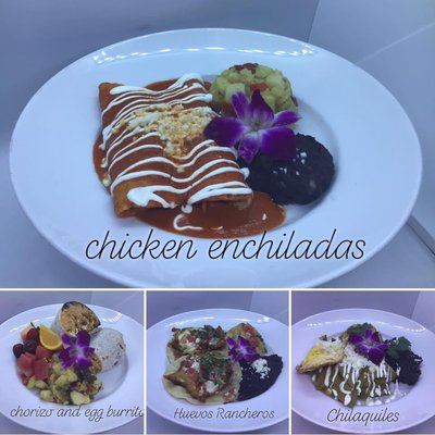 Menu photo 4 El Mariachi San Lucas Voorhees, NJ Menu photo 4 El Mariachi San Lucas Voorhees, NJ