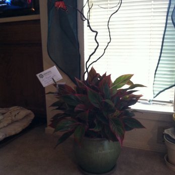 Craig Sole Designs - Florists Near Me - Overland Park, Kansas