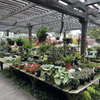 Encinal Nursery - Nurseries & Gardening Near Me - Alameda, California