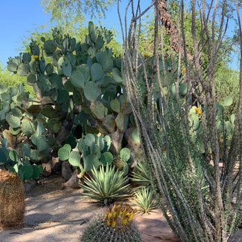 Ethel M Chocolates - Cactus garden - Botanical Gardens Near Me - Henderson, Nevada