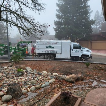 De La Cruz Tree Service - Tree Services Near Me - Elk Grove, California De La Cruz Tree Service - Tree Services Near Me - Elk Grove, California