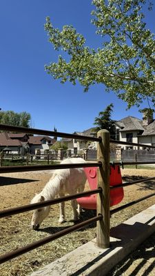 Wheeler Historic Farm by null