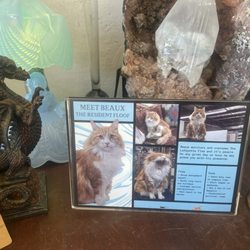 The Lafayette Flea