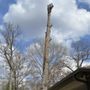 Photo of Martinez Tree Service