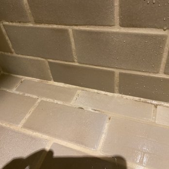 Big Cypress Lodge - black mold - Hotels Near Me - Memphis, Tennessee Big Cypress Lodge - black mold - Hotels Near Me - Memphis, Tennessee