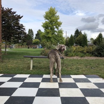Crown Hill Park - Adam Whidbey - Skate Parks Near Me - Seattle, Washington Crown Hill Park - Adam Whidbey - Skate Parks Near Me - Seattle, Washington