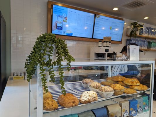 Bluestone Lane Post Oak Plaza Coffee Shop by null