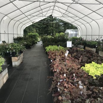 Petal and Pond - Nurseries & Gardening Near Me - Lawrenceville, Georgia