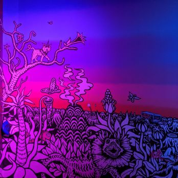 Meow Wolf - Venues & Event Spaces Near Me - Denver, Colorado