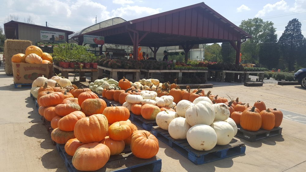 BROWN’S GREENHOUSE Updated October 2024 111 Rosser St, Harriman