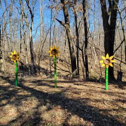 Mambourg Park - Sunflower bee homes by nature center