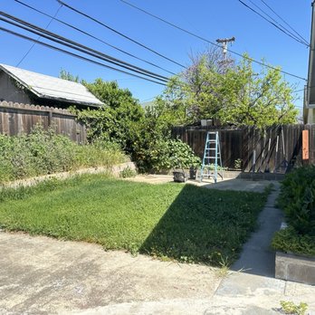 Green Total Gardening - Great value for the price, arrived right on time, and did an excellent job. My garden looks clean and refreshed right away! - Lawn Services Near Me