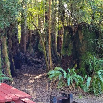 The Ramblin' Redwoods Campground - Campgrounds Near Me - Crescent City, California